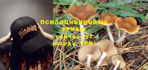 соль курить ск Бронницы