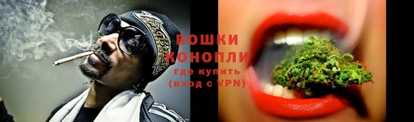 мдпв Богородск