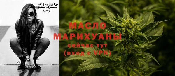 мдпв Богородск